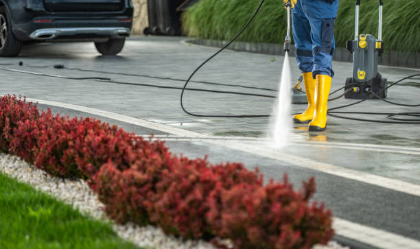 Best Rust Removal  in Middleport, NY
